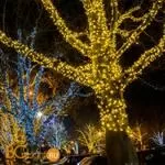 Гирлянда Eurosvet 400-102 белый 20м IP65 a044075 - Фото 0