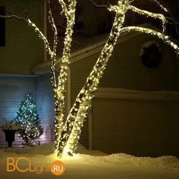 Гирлянда Eurosvet 400-102 теплый белый 20м IP65 a044077