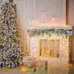 Гирлянда Eurosvet 100-001 белый 1,8*0,5 м IP20 a044082