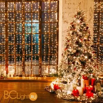 Гирлянда Eurosvet 200-002 белый 2*3 м IP20 a044086