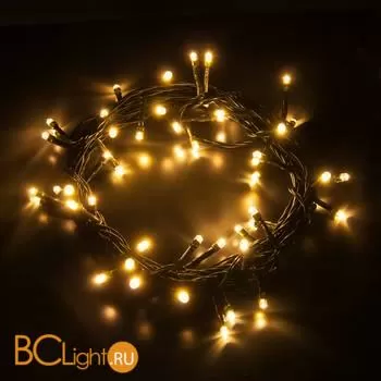 Гирлянда Eurosvet 400-001 теплый белый 5 м IP20 a044094 - Фото 2