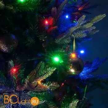 Гирлянда Eurosvet 400-002 мульти 10 м IP20 a044097 - Фото 1