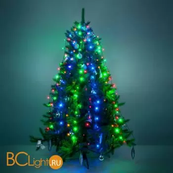 Гирлянда Eurosvet 200-003 мульти 0,45*1,5 м IP20 a049840