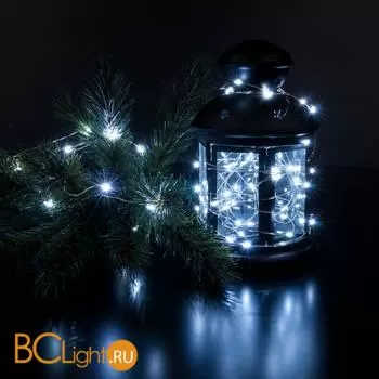 Гирлянда Eurosvet 400-007 белый 5м IP20 a056040 - Фото 0