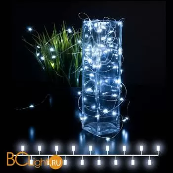 Гирлянда Eurosvet 400-007 белый 5м IP20 a056040