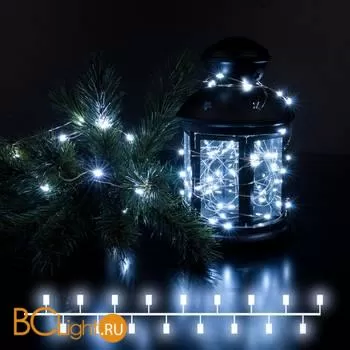 Гирлянда Eurosvet 400-008 белый 10м IP20 a056041