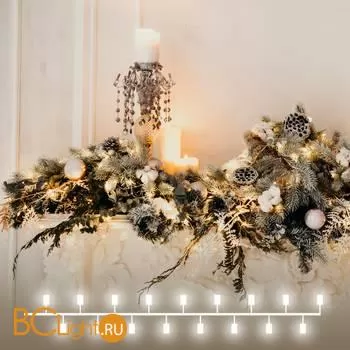 Гирлянда Eurosvet 400-007 теплый белый 5м IP20 a056042