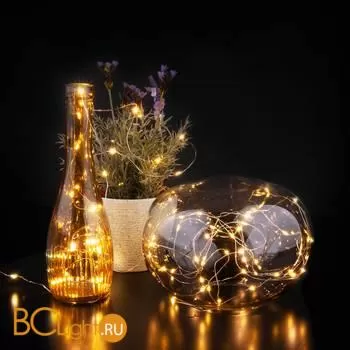 Гирлянда Eurosvet 400-008 теплый белый 10м IP20 a056043