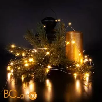 Гирлянда Eurosvet 400-006 теплый белый 3 м IP20 a056044 - Фото 2