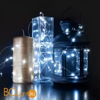 Гирлянда Eurosvet 200-004 белый 2*3м IP20 a056046 - Фото 0