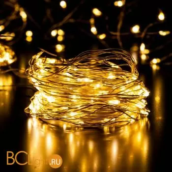 Гирлянда Eurosvet 200-004 теплый белый 2*3м IP20 a056047 - Фото 1