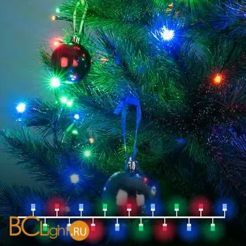 Гирлянда Eurosvet 400-004 мульти 5м IP20 a056074