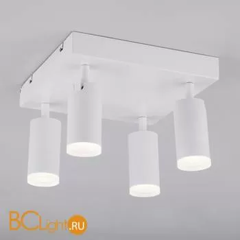 Потолочный светильник Eurosvet Holly 20067/4 LED белый 20W - Фото 0