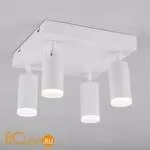 Потолочный светильник Eurosvet Holly 20067/4 LED белый 20W - Фото 0