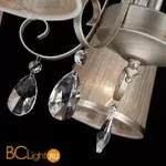 Потолочная люстра Eurosvet Liona 60065/5 серебро - Фото 3