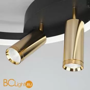 Потолочный светильник Eurosvet Luminari 90247/3 черный / золото - Фото 0