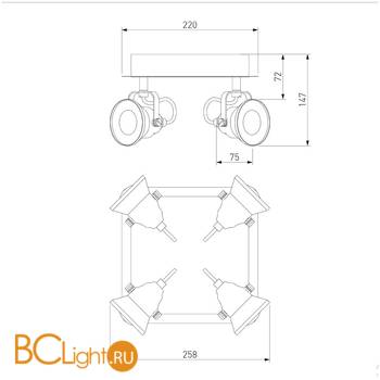 Потолочный светильник Eurosvet Magnum 20062/4 хром/венге - Схема
