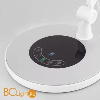 Настольная лампа Eurosvet Modern 80420/1 серебристый - Фото 1