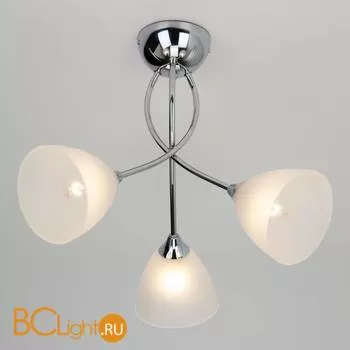Потолочная люстра Eurosvet Nika 30117/3 хром