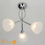 Потолочная люстра Eurosvet Nika 30117/3 хром