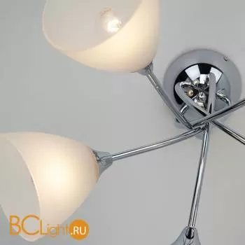 Потолочная люстра Eurosvet Nika 30117/5 хром - Фото 1