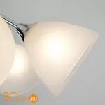 Потолочная люстра Eurosvet Nika 30117/5 хром - Фото 0