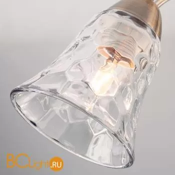 Потолочная люстра Eurosvet Norene 30157/5 античная бронза - Фото 3