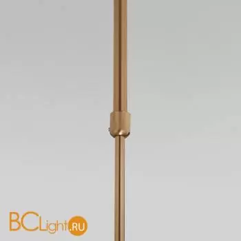 Подвесной светильник Eurosvet Pacific new 50255/1 латунь a063265 - Фото 0