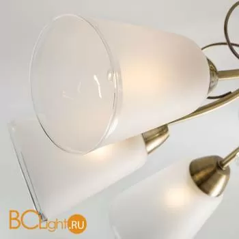 Потолочная люстра Eurosvet Patrice 30150/8 античная бронза a044081 - Фото 0