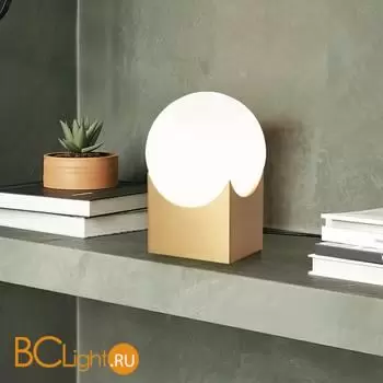 Настольный светильник Eurosvet Pax new 01167/1 латунь a064714 - Фото 2