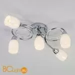 Потолочная люстра Eurosvet Potpourri 30153/5 белый