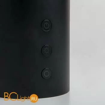 Настольная лампа Eurosvet Premier 80425/1 черный - Фото 1