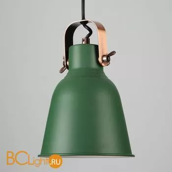 Подвесной светильник Eurosvet Projector 50083/1 зеленый - Фото 1