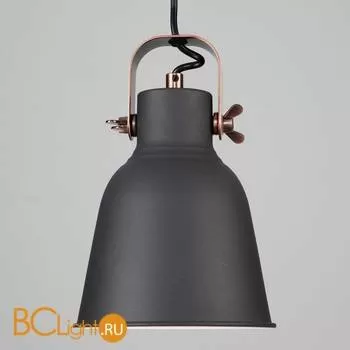 Подвесной светильник Eurosvet Projector 50083/1 черный - Фото 2