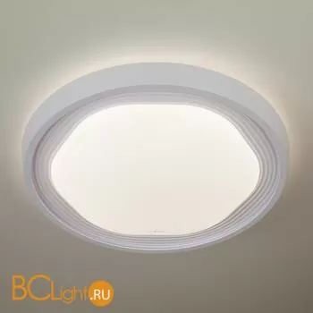 Потолочный светильник Eurosvet Range 40005/1 LED белый 54W