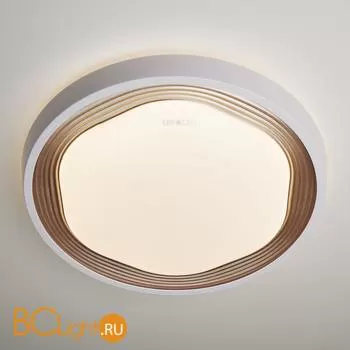 Потолочный светильник Eurosvet Range 40005/1 LED кофе 54W