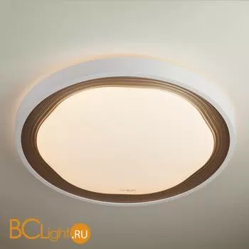 Потолочный светильник Eurosvet Range 40006/1 LED кофе 70W