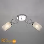 Потолочная люстра Eurosvet Renee 30122/2 хром