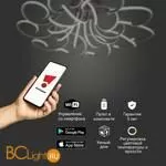 Потолочный светильник Eurosvet Rosca 90236/10 чёрный кофе - Фото 2