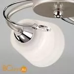 Потолочная люстра Eurosvet Sabrina 30147/5 перламутровое золото - Фото 0