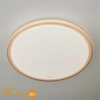 Потолочный светильник Eurosvet Sandy 40014/1 LED кофе 54W