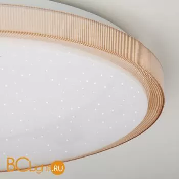 Потолочный светильник Eurosvet Sandy 40014/1 LED кофе 54W - Фото 1