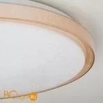 Потолочный светильник Eurosvet Sandy 40014/1 LED кофе 54W - Фото 1