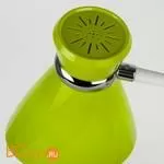 Настольная лампа Eurosvet School 01077/1 зеленый - Фото 1