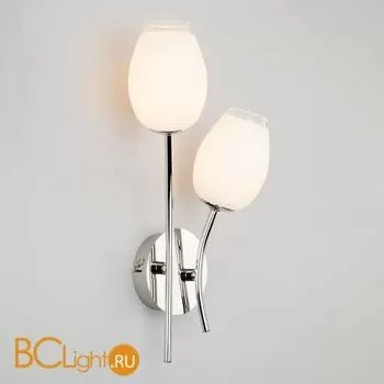 Бра Eurosvet Tulip 30135/2 хром