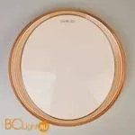 Потолочный светильник Eurosvet Universal 40007/1 LED кофе 54W - Фото 2