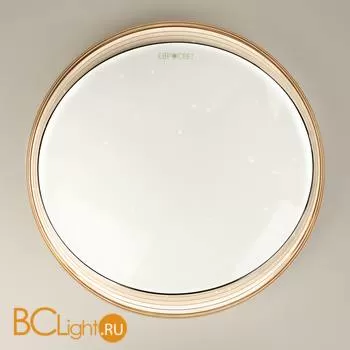 Потолочный светильник Eurosvet Universal 40008/1 LED кофе 70W - Фото 0