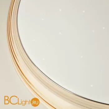 Потолочный светильник Eurosvet Universal 40008/1 LED кофе 70W - Фото 2