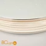 Потолочный светильник Eurosvet Universal 40008/1 LED кофе 70W - Фото 1