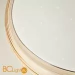 Потолочный светильник Eurosvet Universal 40008/1 LED кофе 70W - Фото 2